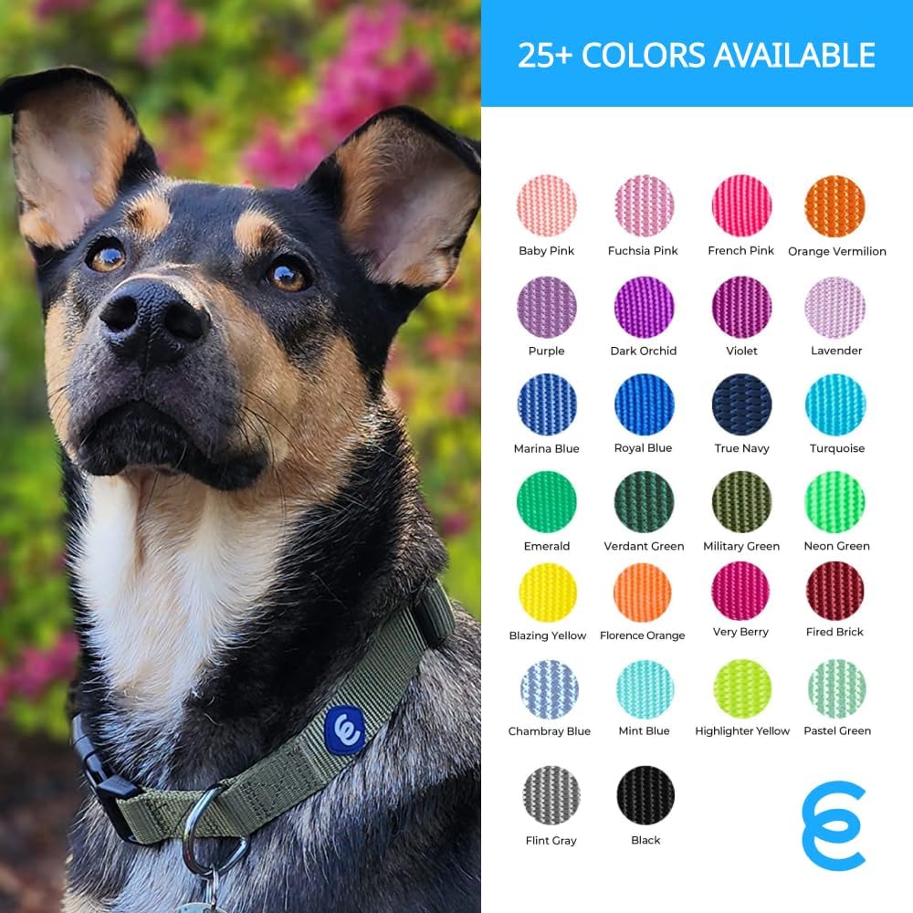 Blueberry Pet Essentials Medium Dog Collar in French Pink | Adjustable & Eco-Friendly Durable Nylon Strap | Classic Collar for Medium Dogs, Boy & Girl Pets
