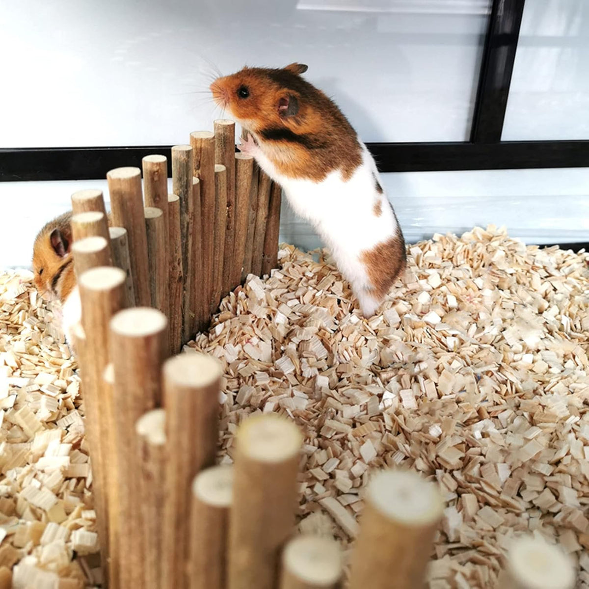 Ejoyous Hamster Wooden Bridge, Wood Ladder Hamster Fence Hideout Cage Bedding Climbing Toys for Syrian Hamsters Gerbil Small Animals (50CM Fence)