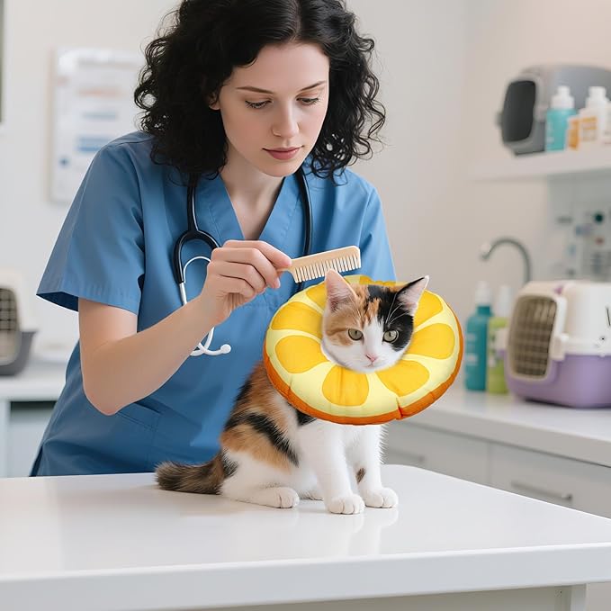Kitten Cones After Surgerys Small Waterproof Cones Collar Small Cats Donut Soft to Stop Licking Neck Elizabethan e Collar for Recovery