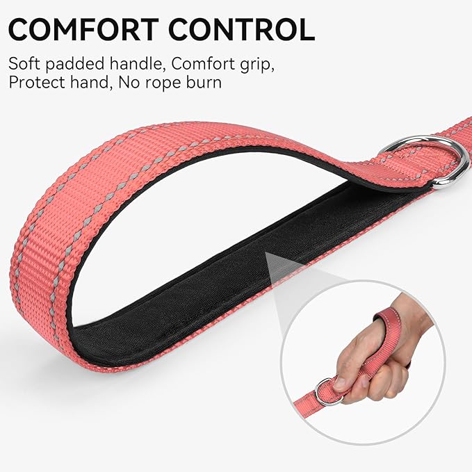 Joytale Dog Leash, 6 FT Double-Sided Reflective, Padded Handle Nylon Heavy Duty Leashes for Small Dogs Walking, Neon Pink