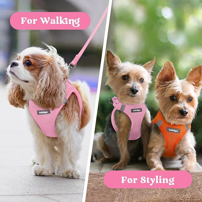 rabbitgoo Small Dog Harness, Step-in Soft Mesh Puppy Vest with Safety Buckle, Breathable Reflective Pet Harness for Small Sized Dogs, Light Pink S