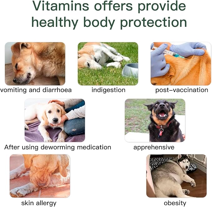 Dog Vitamins and Supplements, Senior & Puppy Multivitamin for Dogs Support with Glucosamine Chondroitin Omega Probiotics, Dog Multivitamins Chews for Hip & Joint, Skin, Immune, Chicken 60 Ct