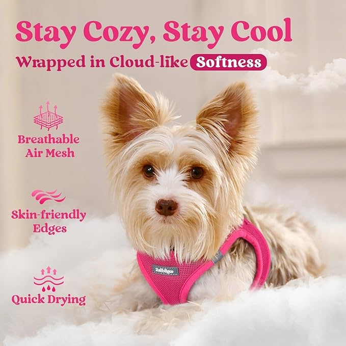 rabbitgoo Small Dog Harness, Step-in Soft Mesh Puppy Vest with Safety Buckle, Breathable Reflective Pet Harness for Small Sized Dogs, Rose Red XS