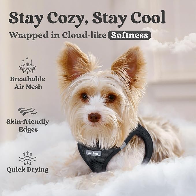 rabbitgoo Small Dog Harness, Step-in Soft Mesh Puppy Vest with Safety Buckle, Breathable Reflective Pet Harness for Small Sized Dogs, Black M