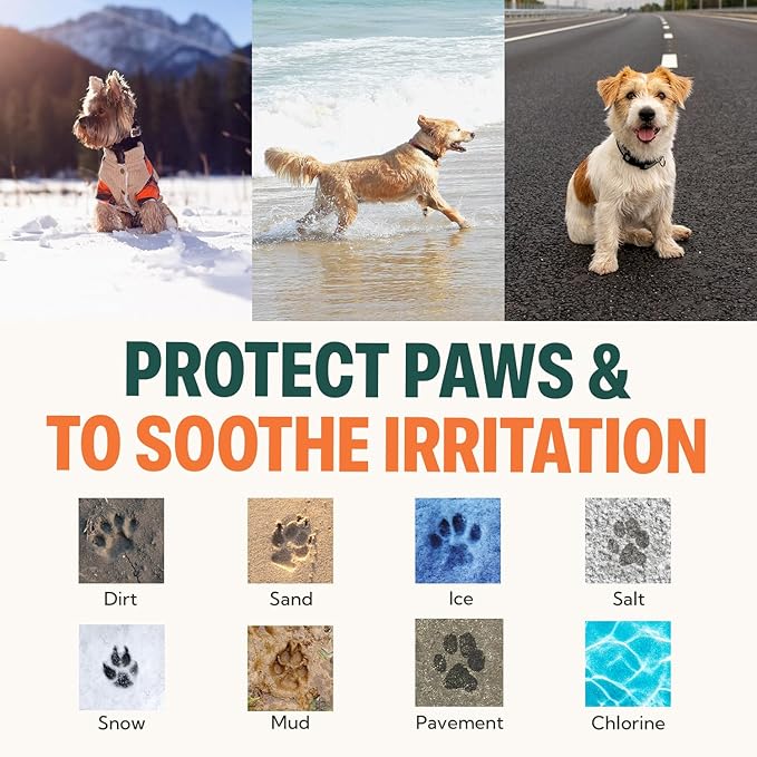 CHARLIE'S PAWS Paw Balm for Dog and Cat Paw Pad Balm Dog Nose Balm Cat Butter Paw Moisturizer Protect Dry Cracked Paw Foot Paw Elbows with 100% Natural Oil 3.5 Oz (Aloe & Vanilla)