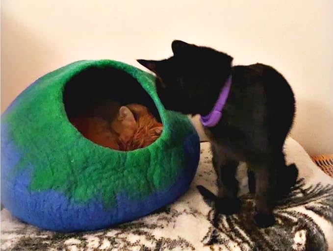 Woolygon Premium Felt Cat Cave Bed – Wool Kitty Beds Handcrafted Kitten Caves Bed for Indoor Cats - Made from 100% Eco-Friendly Merino Wool, Foldable Cat Hidewawy Covered Cat Houses (Emerald Indigo)