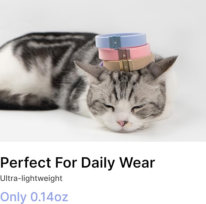 Safety Cat Collar - U.S. IDA Gold Awarding Design, Stretch Elastic Quick Release, Non Breakaway - Light Weight for Kitten, Neck Fit 5.9'-11.8' for All Small Large Cat,S(Space Grey)