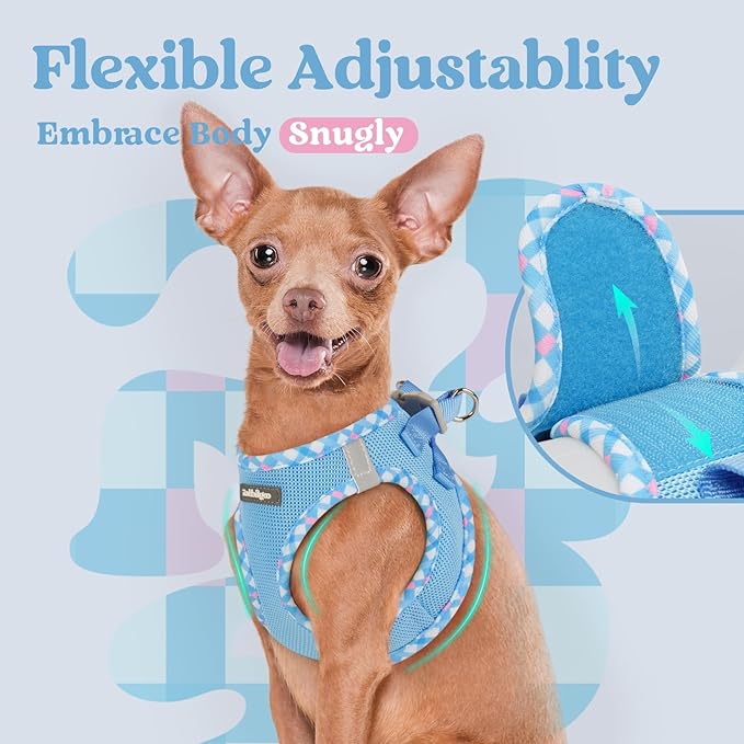 rabbitgoo Small Dog Harness, Step-in Soft Mesh Puppy Vest with Safety Buckle, Breathable Reflective Pet Harness for Small Sized Dogs, Blue & Plaid Trim M