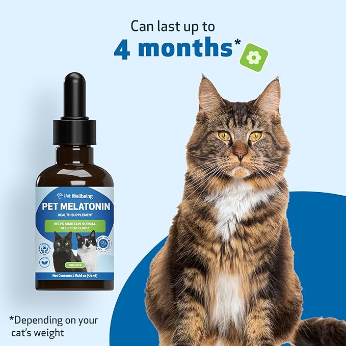 Pet Wellbeing Pet Melatonin for Cats - Supports Adrenal & Thyroid Health, Cortisol Balance, Helps Maintain Normal Sleep Patterns - Veterinarian-Formulated Liquid Supplement 2 fl oz (59 ml)