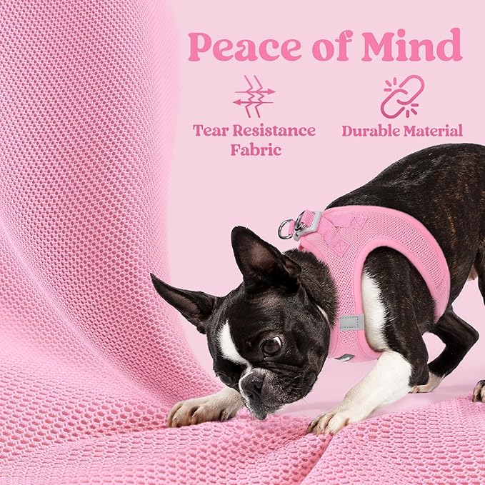 rabbitgoo Small Dog Harness, Step-in Soft Mesh Puppy Vest with Safety Buckle, Breathable Reflective Pet Harness for Extra Small Dogs, Light Pink XXS
