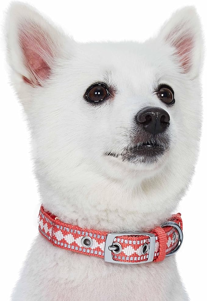 Blueberry Pet Reflective Jacquard Dog Collar with Neoprene Padding & Metal Buckle | Soft & Adjustable Safety Collar - Coral, Neck 13-16.5", for Medium Breed