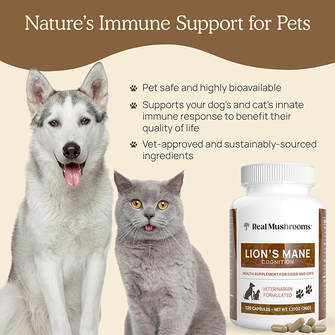 Real Mushrooms Lion’s Mane Pet Mushroom Supplement – Pet Wellbeing Capsules – for Cat & Dog Supplement & Vitamins – Support Mindful Routines – Organic, Vegan, Non-GMO, 120 Count