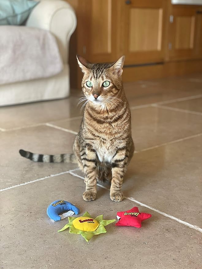 YEOWWW Catnip Cat Toy for Indoor and Outdoor Cats -Premium Quality Strong Catnip Toys for Cats (1x Crinkle Catnip Toy Sun 1 x Moon 1x Star)