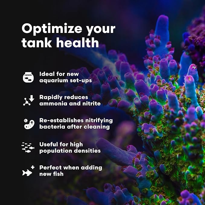 Brightwell Aquatics MicroBacter Start XLM - Concentrated Freshwater Nitrifying Bacteria - Quick Start Fish Tank Starter, Lift Microbe Levels & Water Filtering - Aquarium Water Treatments, 5.28 GAL