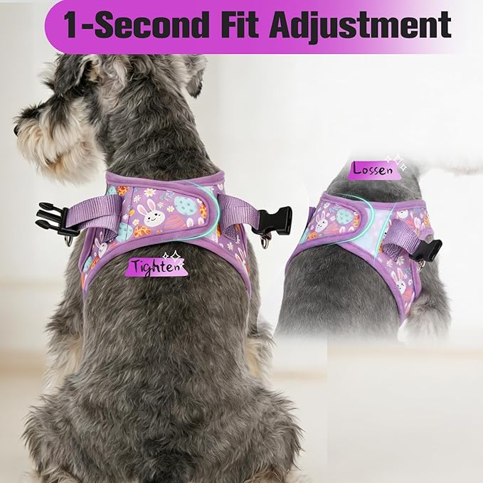 EXPAWLORER Easter Small Dog Harness - Dog Collar and Leash Set - Soft Mesh Padded Adjustable Step in Puppy Vest Harness No Pull, Reflective Escape Proof for Outdoor Walking, Bunny Egg M