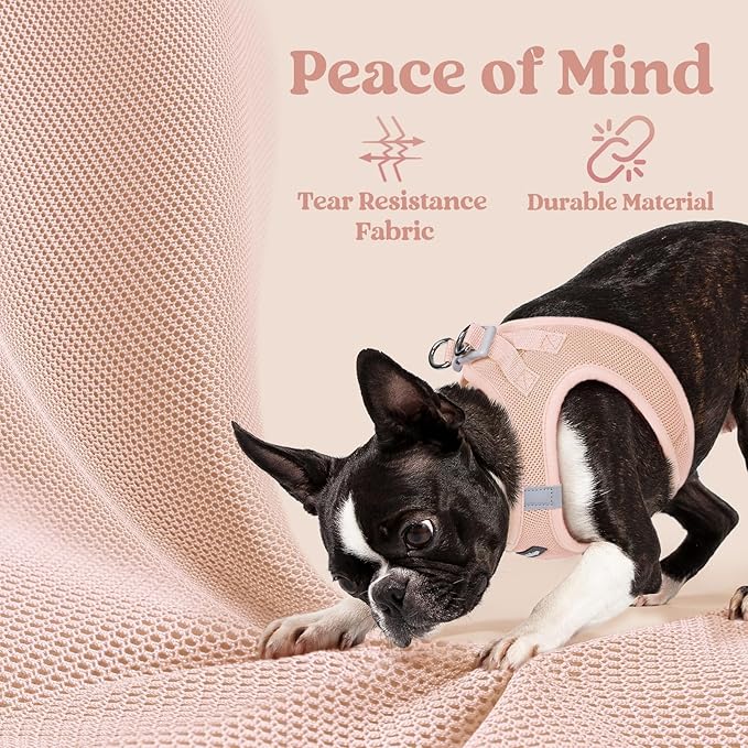 rabbitgoo Small Dog Harness, Step-in Soft Mesh Puppy Vest with Safety Buckle, Breathable Reflective Pet Harness for Small Sized Dogs, Pink M