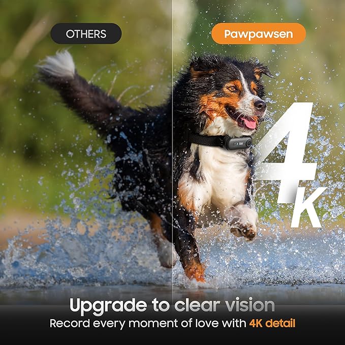 4K UHD Dog& Cat Pet Camera Collar, Video Recorder with Phone App View, Outdoor & Indoor POV Action Cam for Small and Medium-Size Dogs(White - Black Nylon Collar - M, 128g)