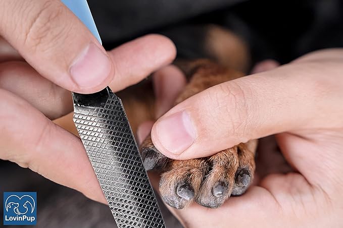 Dog Nail Filer, Professional Nail Grooming Tool, Dog and Cat Nail Files, for Smoothing Rough Edges of Pet’s Nails, Best Nail Filer for Small/Large Dogs & Cats (3 Dog Nail Filers Set)