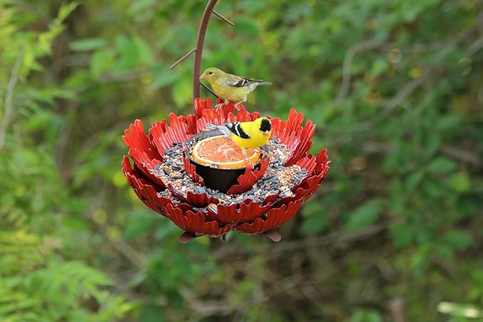 Desert Steel Coral Sunset Peony Hanging Feeder - (Orange - 9”W x 11.5”H) - Loose Seed Metal Birdfeeder