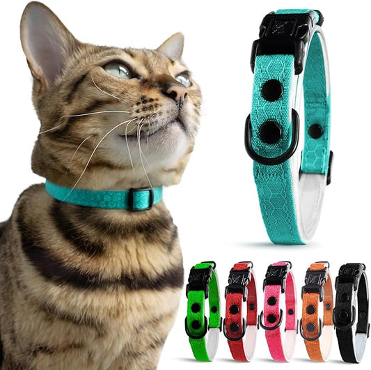 OutdoorBengal Blue Breakaway Kitten Collar - Ultra Safe Quick Release Cat Collar for Small Kittens Under 6 Months – Soft-Padded, Lightweight, Adjustable, Thin and Comfortable, No Bell (Blue, Kitten)