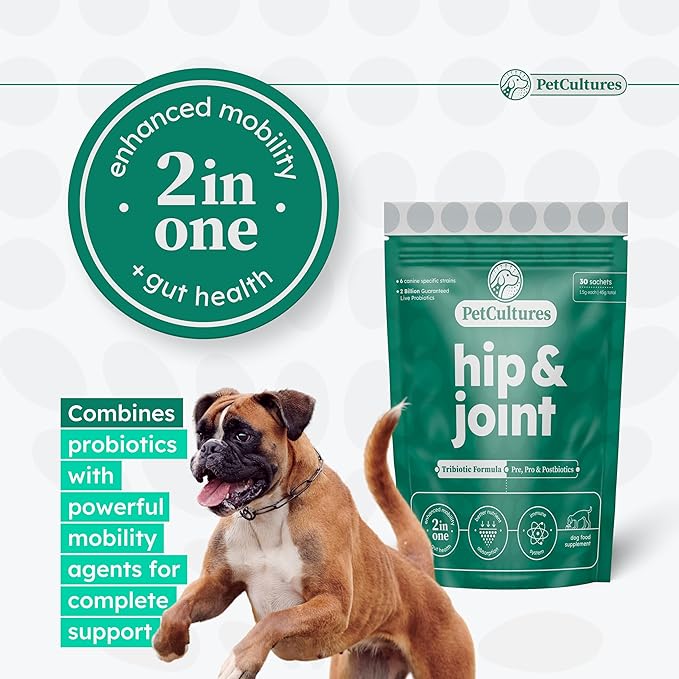 Hip and Joint Synbiotic Formula - 600mg Glucosamine, Chondroitin, MSM, and Probiotics in 30 Packs
