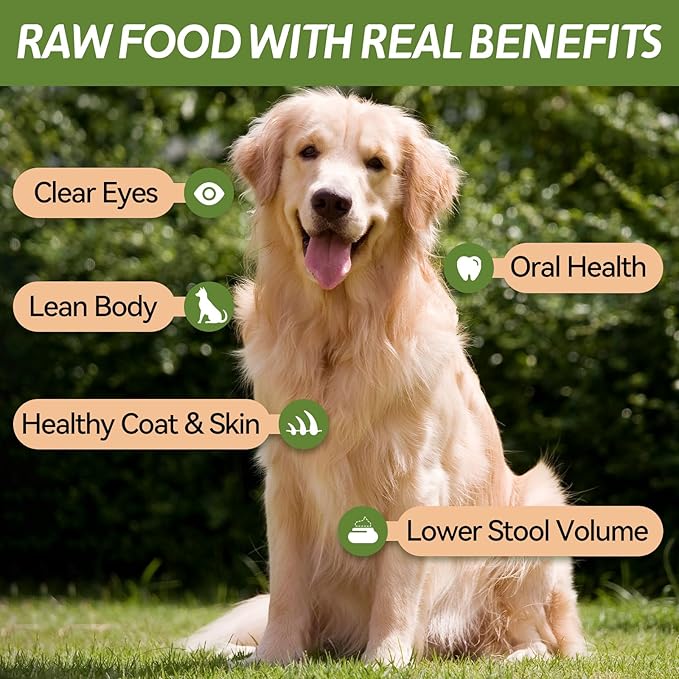 OPET Freeze Dried Chicken Cat Treats, Single Ingredient Grain Free High Protein Pet Food for Cats and Dogs, Healthy Training Snacks, Freeze Dried Cat Food (Chicken Breast, 1.48 Ounce)