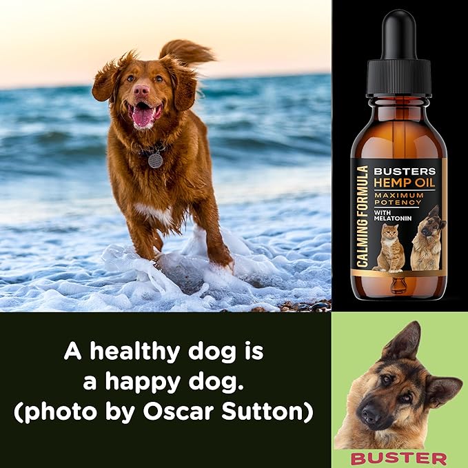 Busters Calming Hemp Oil, Enriched with Melatonin for Dogs, Cats, Pets, Sleep, WEL Being and an Ideal Omega Ratio, Adrenal and Cushings Support