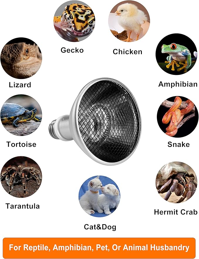 Deep Heat Projector - DHP 160W Infrared Reptile Heat Lamp Bulbs for Turtle Light Bearded Dragon Chicken Lizard Leopard Gecko Snake