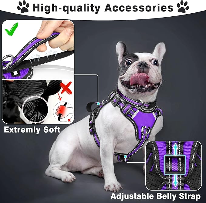 WINSEE Pet Harness Collar and Leash Set, All-in-one Reflective Dog Harness No Pull with Adjustable Buckles for Puppies, Small, Medium, Large, and Extra-Large Dogs (Large, Purple)