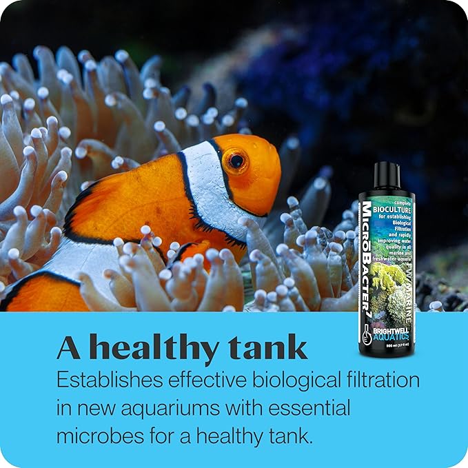 Brightwell Aquatics MicroBacter7 Complete Bioculture for Fish Tank or Aquarium - Populates Biological Filter Media for Saltwater and Freshwater Fish - Aquarium Water Treatments, 4.2 fl oz