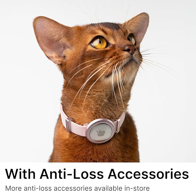 Safety Cat Collar Pro - U.S. IDA Gold Awarding Design, Elastic Quick Release Cat Collar with Buckle Non Breakaway - Lightweight for Kitten All Small Large Cats (Glacier Silver, M 7.9-15.7")