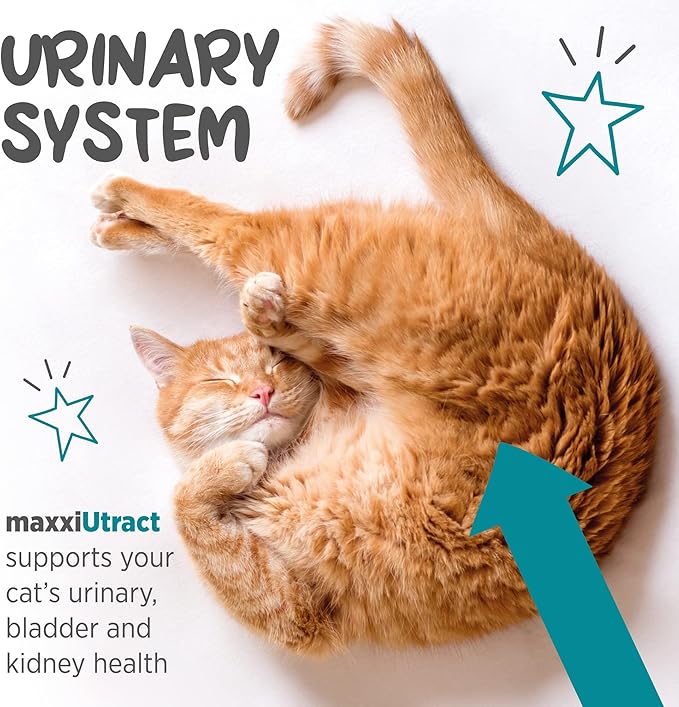 maxxipaws maxxiUtract Urinary & Bladder Support - Powder Supplement for Cats, 3.2oz