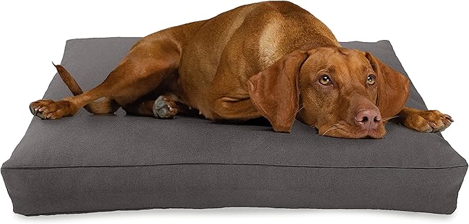 X-Large - 48 x 30 x 5 - Shadow Gray Premium Organic Hemp Dog Bed - Organic Latex Fill - Removeable Cover