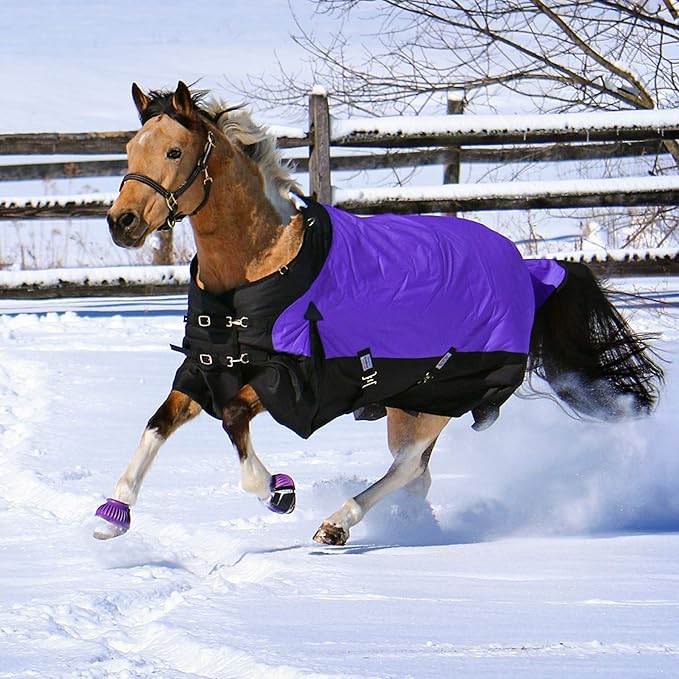 STORM SHIELD Classic II Surcingle Horse Turnout Blanket | Contour Collar | Horse Blankets for Winter Waterproof | 1200D Ripstop Durability | Winter Horse Blanket