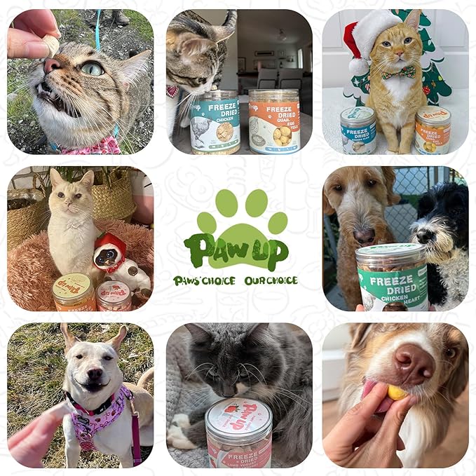 Freeze Dried Dog Treats,Chicken Breast&Organs Recipe Raw Dog Food Topper, High Protein Freeze-Dried Food for Cats, Rawhide Free, Gluten&Grain Free, 5.3oz
