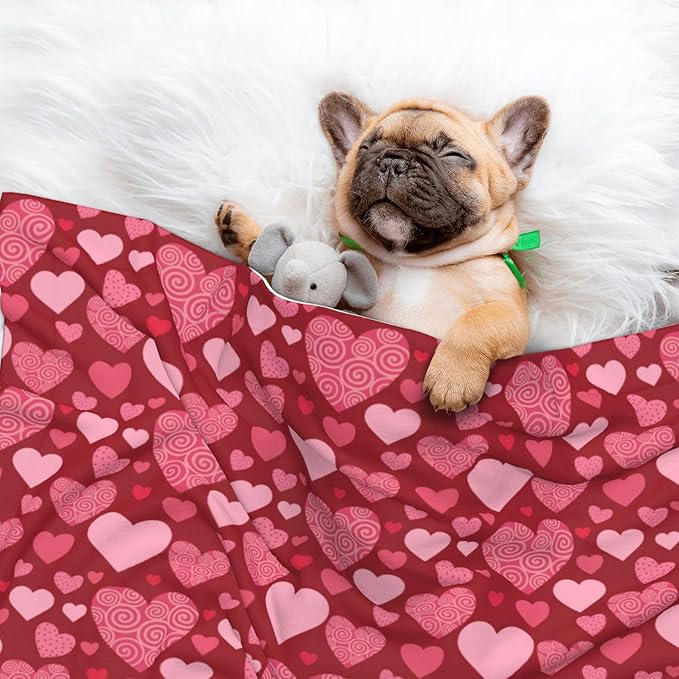 Red Blanket for Dog - Heart Love Throw Blanket 30x20 Pink Pet Blanket for Couch Sofa Bed