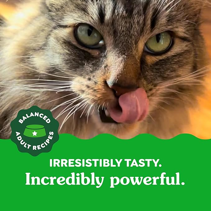 Greenies Feline Dental Cat Treats, Tempting Tuna Flavor, 21 oz. Tub