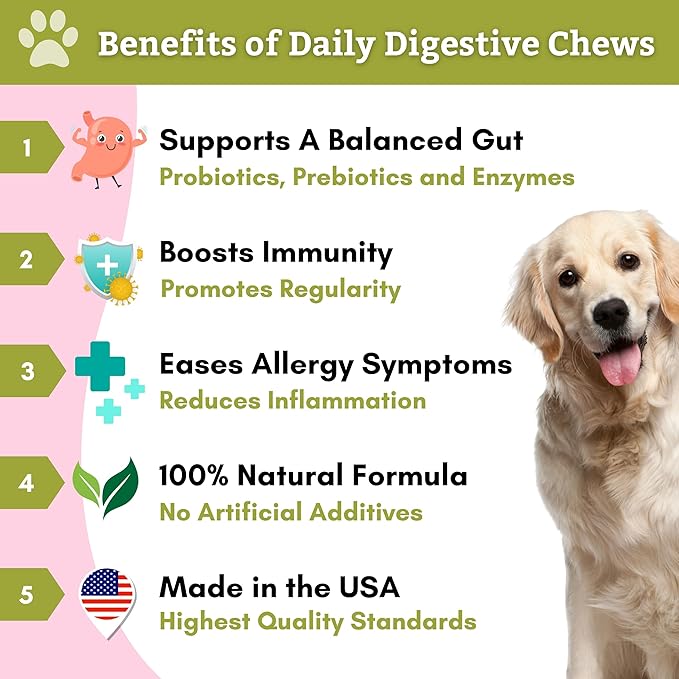 Wholistic Pet Organics: Probiotic Chews for Dogs Digestive Health - 60 Count - Dog Probiotics and Digestive Enzymes - Support Gut Health Immune Supplement Prevents Dog Digestive Problems
