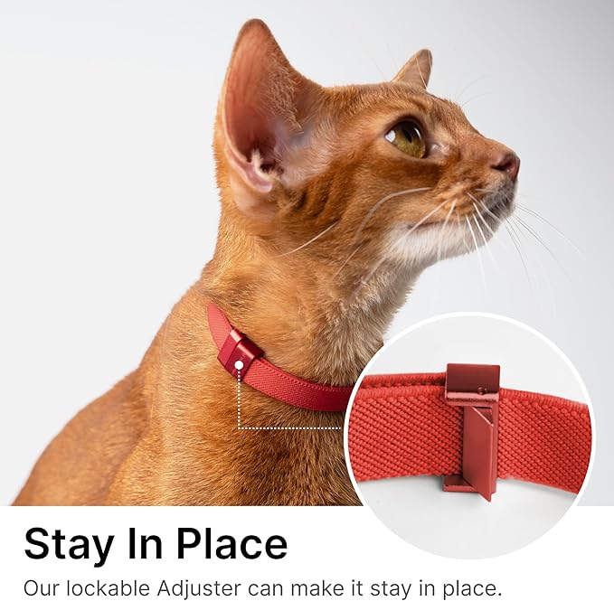 Safety Cat Collar Pro - U.S. IDA Gold Awarding Design, Elastic Quick Release Cat Collar with Buckle Non Breakaway - Lightweight for Kitten All Small Large Cats (Sierra Blue, S 5.9-11.8")