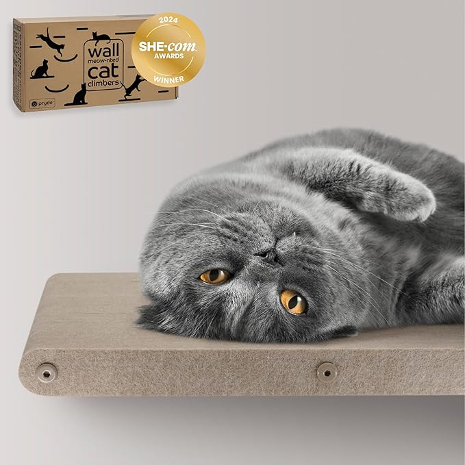 Wall Mounted Cat Perch Long Shelf by Pryde Pets - Floating Hammock Bed, 100% Sustainable PET Felt Feline Enrichment Climber Furniture for Indoor Cats, Modern Climbing Gym Jungle Design (Oatmeal)