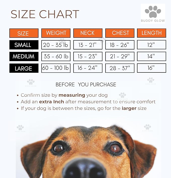 Reflective Dog Vest: Hi-Visibility Safety Gear for Outdoors. Safeguard Your Dog with Easy to wear Adjustable Reflective Vest (Small)