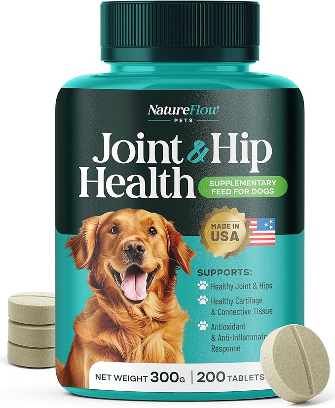 Joint Supplement for Dogs, Power of Nature Made in USA, Unique Formula: Green-Lipped Mussel, Glucosamine, Chrondroitin, MSM, Devils Claw, Hip and Joint Supplement, All Breeds - 200 ct