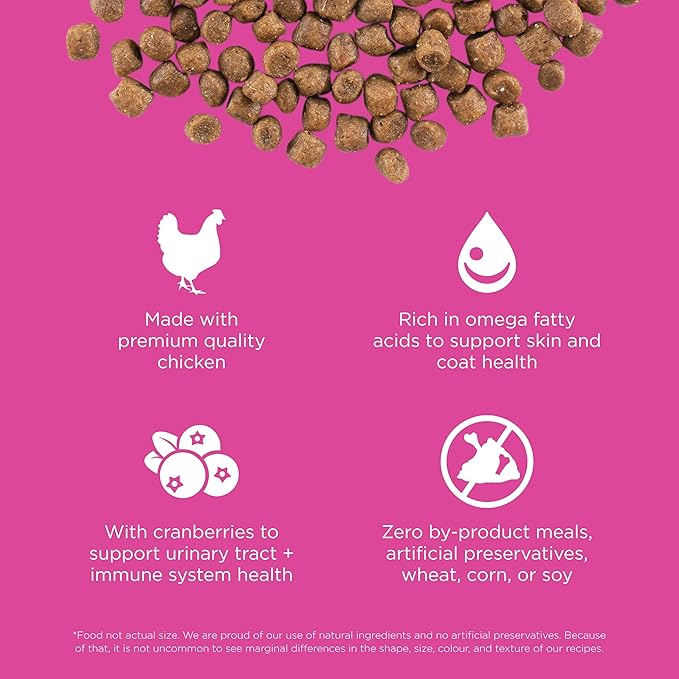 Go! Solutions Skin + Coat Care, Dry Cat Food, Chicken Recipe with Grains, 8 lb Bag
