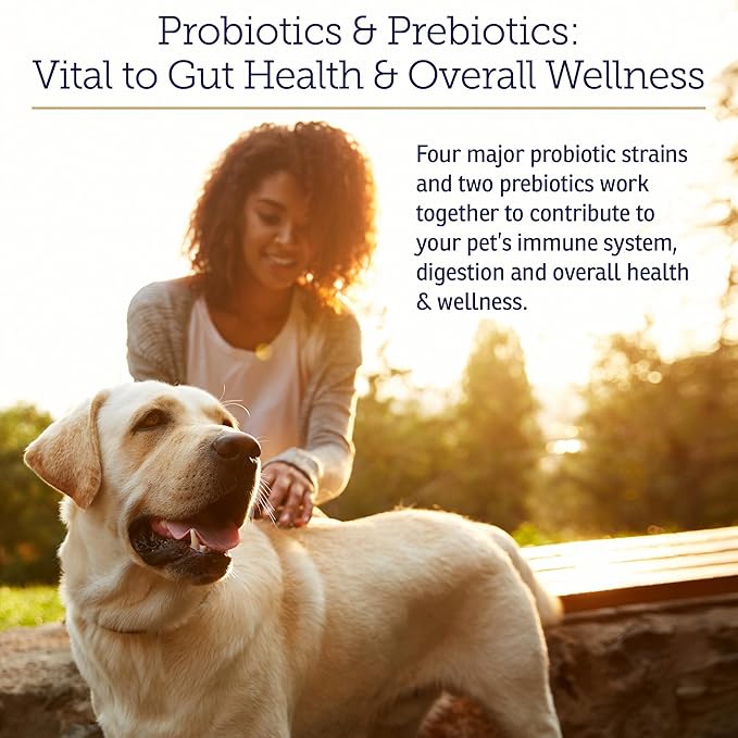 Rx Vitamins Rx Biotic - Probiotic Powder for Dogs and Cats - Cat Digestive Support & Probiotic for Dogs Gut Health - Dog Probiotics for Digestive Health - 1.25oz