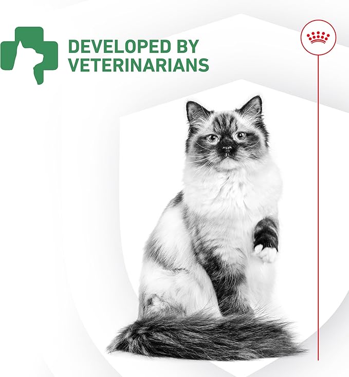 Royal Canin Probiotics for Cats Digestive and Immune Health Powder Supplement for Cats of All Ages, 30 Count