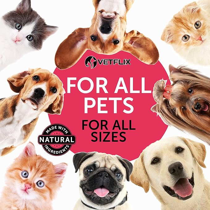 Pet Vitamins 10 in 1 - Made in USA - Glucosamine for Dogs & Cats - Dog Supplement for Pet Joint Health - Natural Cat, Dog Multivitamin - All Ages & Breeds - Folic Acid for Cats & Dogs Immune - 2 Fl Oz