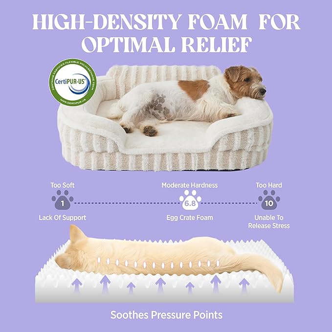 LE SURE Cute Dog Bed for Small Dogs, Orthopedic Waterproof Small Pet Beds with Sides, Non-Slip Bottom and Egg-Crate Foam Puppy Couch Sofa with Washable Removable Cover, Beige