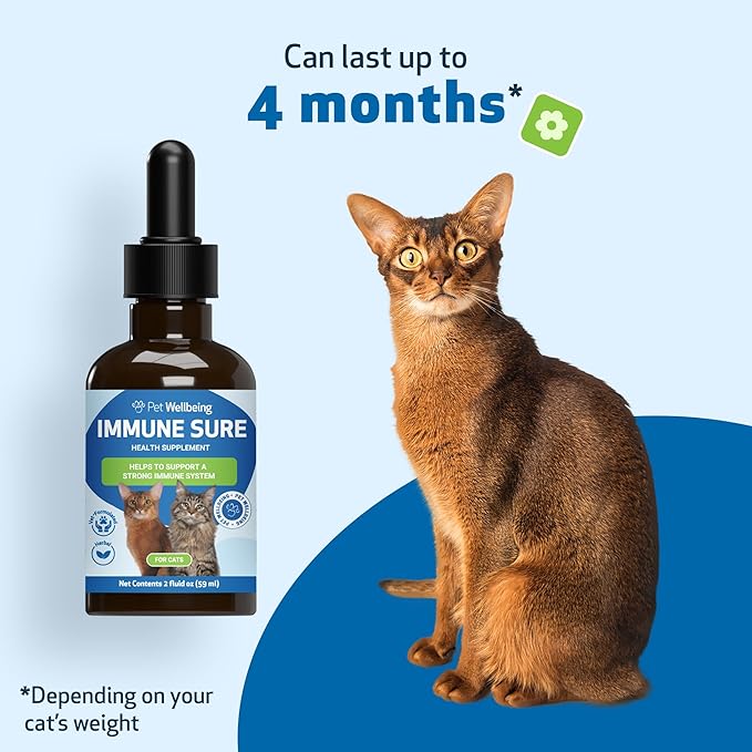 Pet Wellbeing Immune Sure for Cats - Supports Normal Immune Defenses, Gut Flora Balance, Andrographis, Echinacea, Vitamin C, Zinc - Veterinarian-Formulated Herbal Supplement 2 fl oz (59 ml)