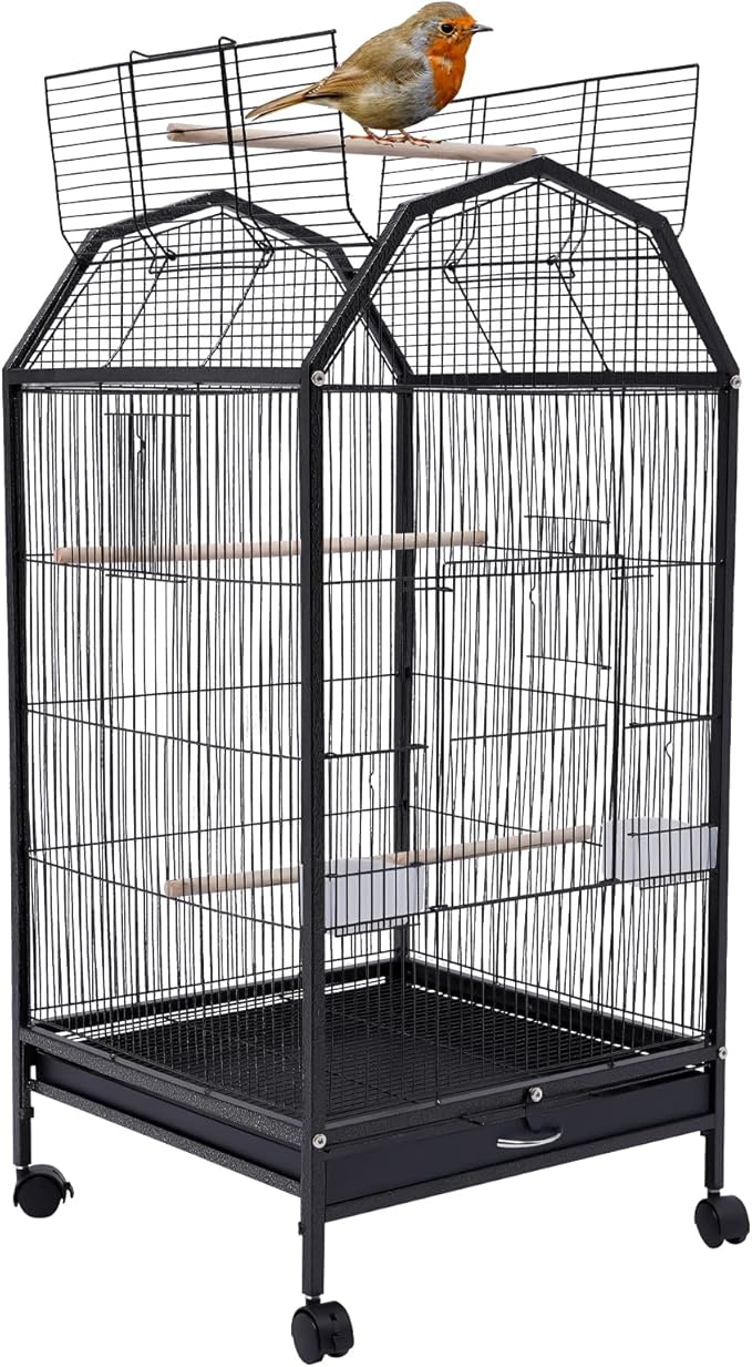 Bird Cage, Open Top Medium Small Bird Cage with 360° Full Hollow Design & Interactive Skylight Rolling Birds Cages for Cockatiel Sun Conure Green Cheek Senegal Meyer's Red-Bellied 18.11*18.11*39.9 In