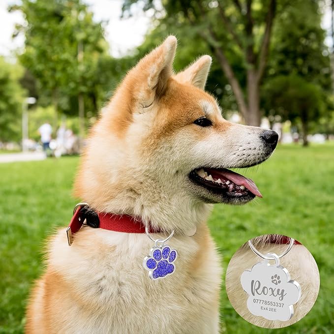 EDSG Cat Dog Tags Personalized for Pets, Dog Name Tags Cat Name ID Tag, Engraved Dog Tags Dog ID Tags Small Glitter Bling ID Tag Paw Print for Cat Pet Dog Puppy(Silver,Design 4)